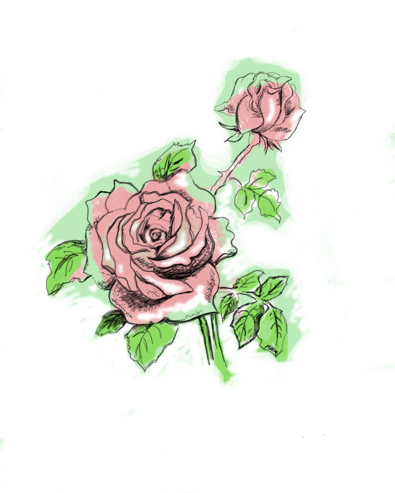 https://artpin.by